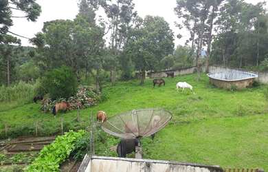 Imagem 11: Chácara à venda, Tijucas do SUL, Tijucas do Sul, PR