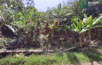 Imagem 2: Sítio à venda, 30142 m² por R$ 190.000,00 - Patrimônio - Massaranduba/SC