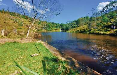 Imagem 4: Lote/Terreno para venda possui 600 metros quadrados em Jardim Paineiras...
