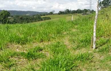 Imagem 5: Lote/Terreno para venda com 1000 metros quadrados em Parque São Luís - São Paulo - SP