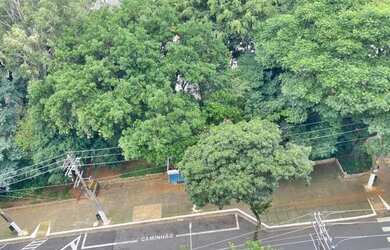 Imagem 13: SAO PAULO - Apartamento Padrão - PINHEIROS