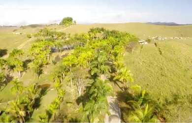 Imagem 11: Belíssima Fazenda 60 Alqueires à venda por R$ 17.000.000,00, Tratorável...