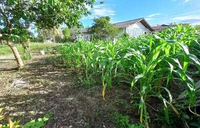 Imagem 6: Terreno à venda em Balneário Barra do Sul - Costeira