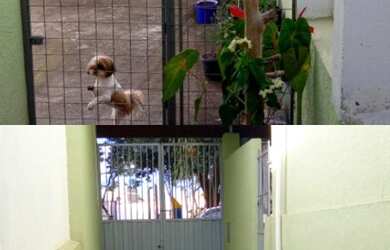 Imagem 9: Casa para venda tem 300 metros quadrados com 6 quartos