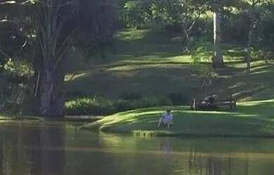 Imagem 2: Linda Fazenda em Santana do Deserto