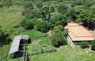 Imagem 4: Fazenda em Flores de Goias - GO, 147 hectares - GO 114