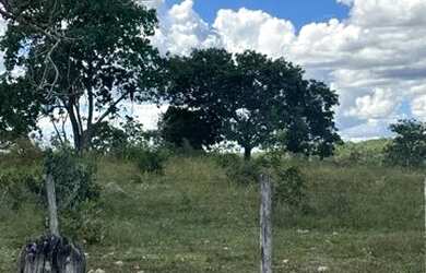 Imagem 4: Fazenda 27 alqueire. 27m² de Área