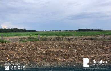 Imagem 7: Fazenda em exploração agrícola na região do Vale do Araguaia TO