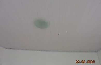 Imagem 12: Locação Residential / Home Vila Izolina Mazzei São Paulo