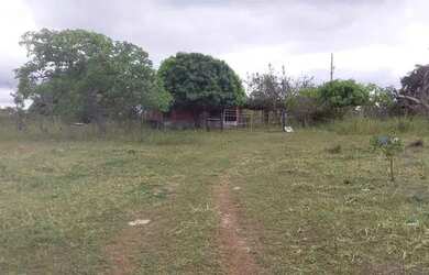 Imagem: A chácara possui 34m² de Área e está localizado em Buritis