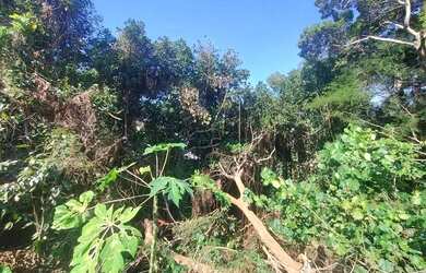 Imagem 3: 0 - Terreno - VILA VALQUEIRE