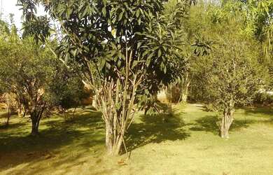 Imagem 15: Vende e Financia. Área de serviçoe1.130m² de Área