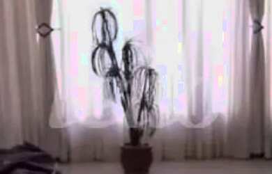 Imagem: A casa possui 3 Dormitórios, 4 Banheiros, 5 Vagas na garagem