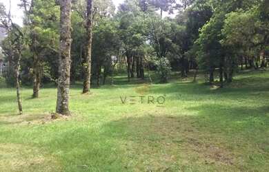 Imagem 8: Terreno à Venda em Canela