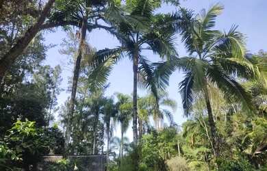 Imagem 8: 4 hectares lagoa casarão 3 km do centro