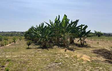 Imagem 7: VENDE-SE SÍTIO EM AMAJARI - OPORTUNIDADE IMPERDÍVEL