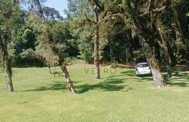 Imagem 5: Terreno à Venda em Canela