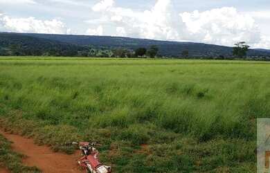 Imagem 11: Fazenda para Venda em Montes Claros de Goiás, Fazendinha