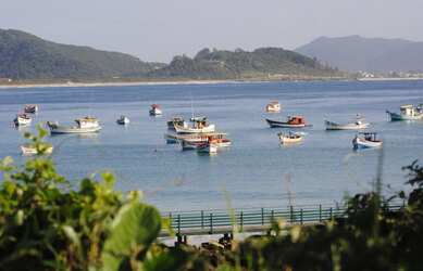 Imagem 11: Terreno à venda Portal do Ribeirão, 555 m² por R$ 1.325.000 - Ribeirão...