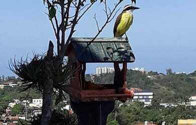 Imagem 3: LINDA COBERTURA 3QTOS-SUÍTE-209M2-DEP-2VGS- FREGUESIA JPA RJ