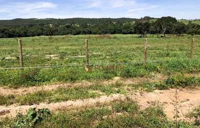Imagem 3: Fazenda à venda, 1.936 hectares por R$ - Zona Rural - Jaraguá/GO