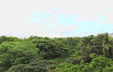 Imagem 10: Apartamento Alto Padrão, Alto De Pinheiros, Andar Alto, 317 m², 4 Suítes, 5 Vagas