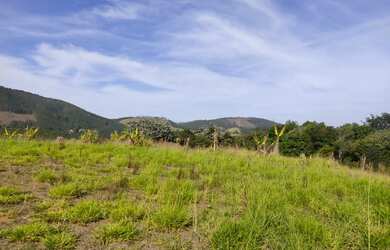 Imagem 5: Lote/Terreno para venda tem 5000 metros quadrados em Jardim Maia - Guarulhos...
