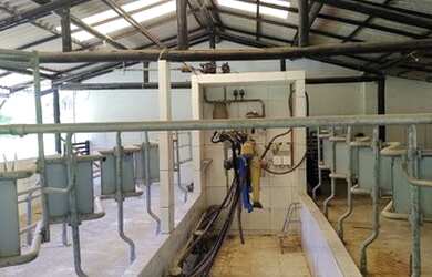 Imagem: A fazenda possui 55m² de Área e Piscina e está localizado