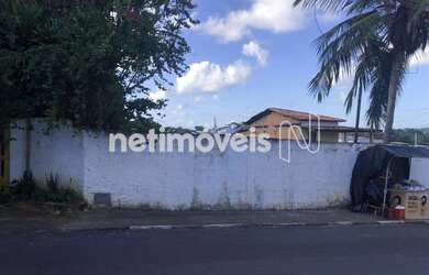 Imagem 4: Venda ou locação Lote-Área-Terreno Caji Lauro de Freitas