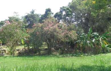 Imagem 8: Ótima área de 109 000 m² com escritura fica de frente pra geral de...