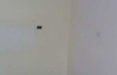 Imagem 6: Casas para locação em São Paulo no bairro VILA ALPINA