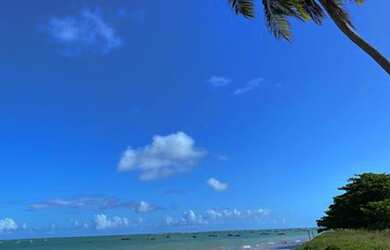 Imagem 7: Casa e localização maravilhosa em São Miguel dos Milagres