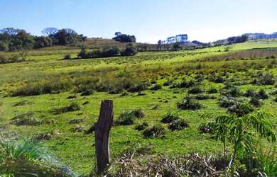 Imagem 3: Chácara com 1 dormitório à venda, 45000 m² por R$ 450.000,00 - Fazenda...