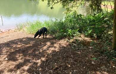 Imagem 10: Terreno com luz individual