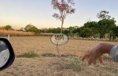 Imagem: A fazenda está localizado em Chapada de Areia, TO à venda