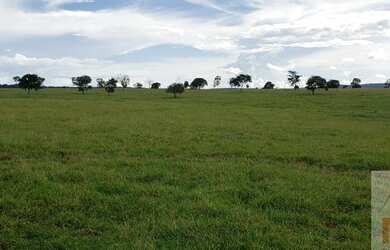 Imagem 7: Fazenda para Venda em Montes Claros de Goiás, Fazendinha
