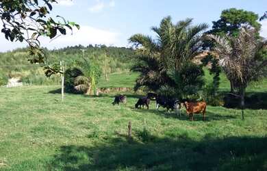 Imagem 13: RIO BONITO BELA FAZENDINHA NA VIA LAGOS Antes do pedágio