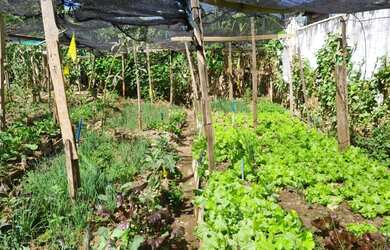 Imagem: O terreno está localizado em Jardim Santa Cruz, Salto à venda