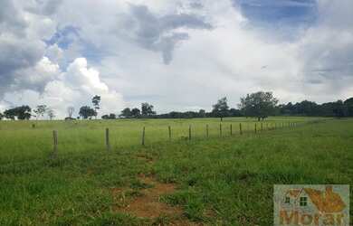 Imagem 1: Fazenda para Venda em Montes Claros de Goiás, Fazendinha