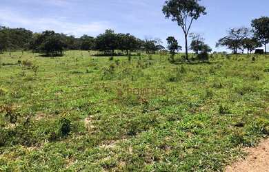 Imagem 5: Fazenda à venda, 1.936 hectares por R$ - Zona Rural - Jaraguá/GO