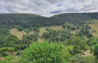 Imagem 2: Lote/Terreno para venda com 21106 m² - Fazenda Juriti - Petrópolis -...