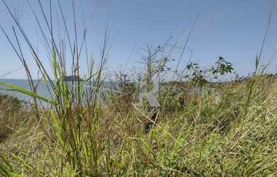 Imagem 4: Terreno à venda, 1880 m² por R$ 1.950.000 - Rasa - Armação dos Búzios/RJ