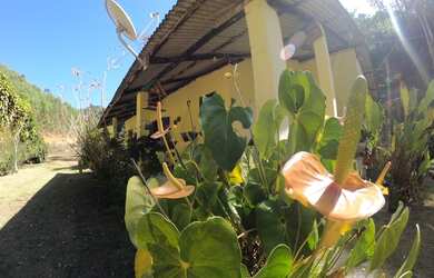 Imagem: A fazenda possui 30000m² de Área e está localizado em Domingos