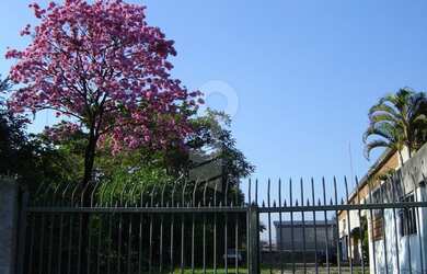 Imagem 2: Galpão/Depósito/Armazém para aluguel e venda com 3800 metros quadrados