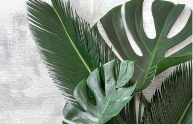 Imagem 12: Bauen Residence, o mais novo lançamento no Alphaville I em Salvador C1