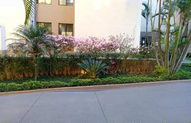 Imagem 11: APARTAMENTO CONDOMINIO BARATO NO MELHOR DA VILA SANTA CATARINA