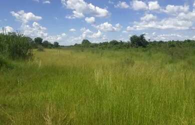 Imagem 15: Fazenda em Flores de Goias - GO, 147 hectares - GO 114