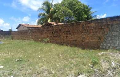 Imagem 4: TERRENO EM CATUAMA GOIANA-PE