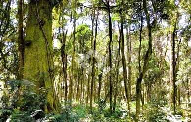 Imagem 9: A venda terreno de 21.299,70m² localizado no Parque dos Pinheiros em...