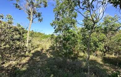 Imagem 2: Chacara em abadiania. 2.553m² de Área